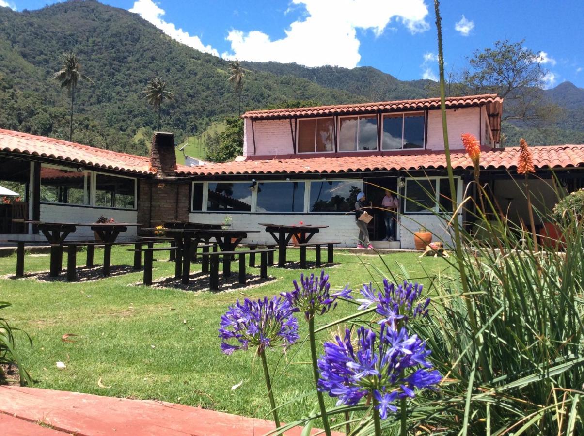 Palmas De Cocora Guest House Salento Eksteriør bilde