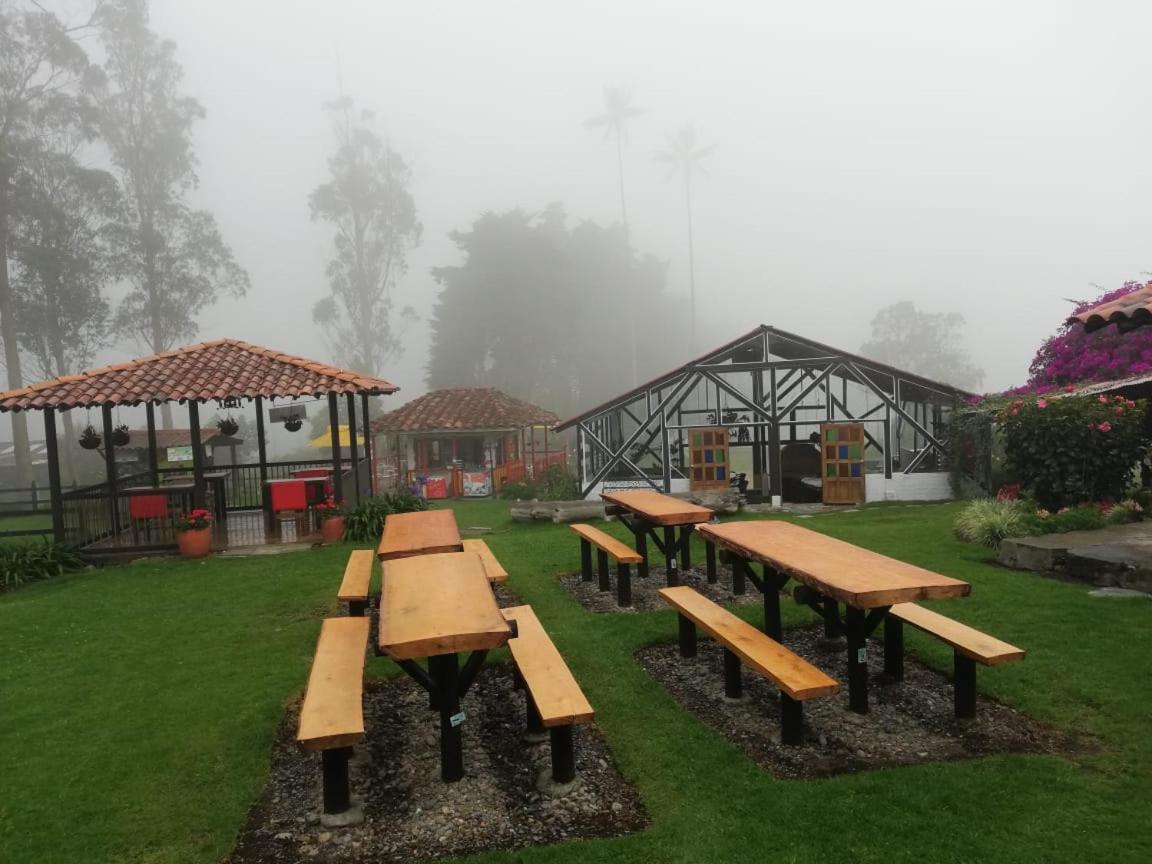 Palmas De Cocora Guest House Salento Eksteriør bilde